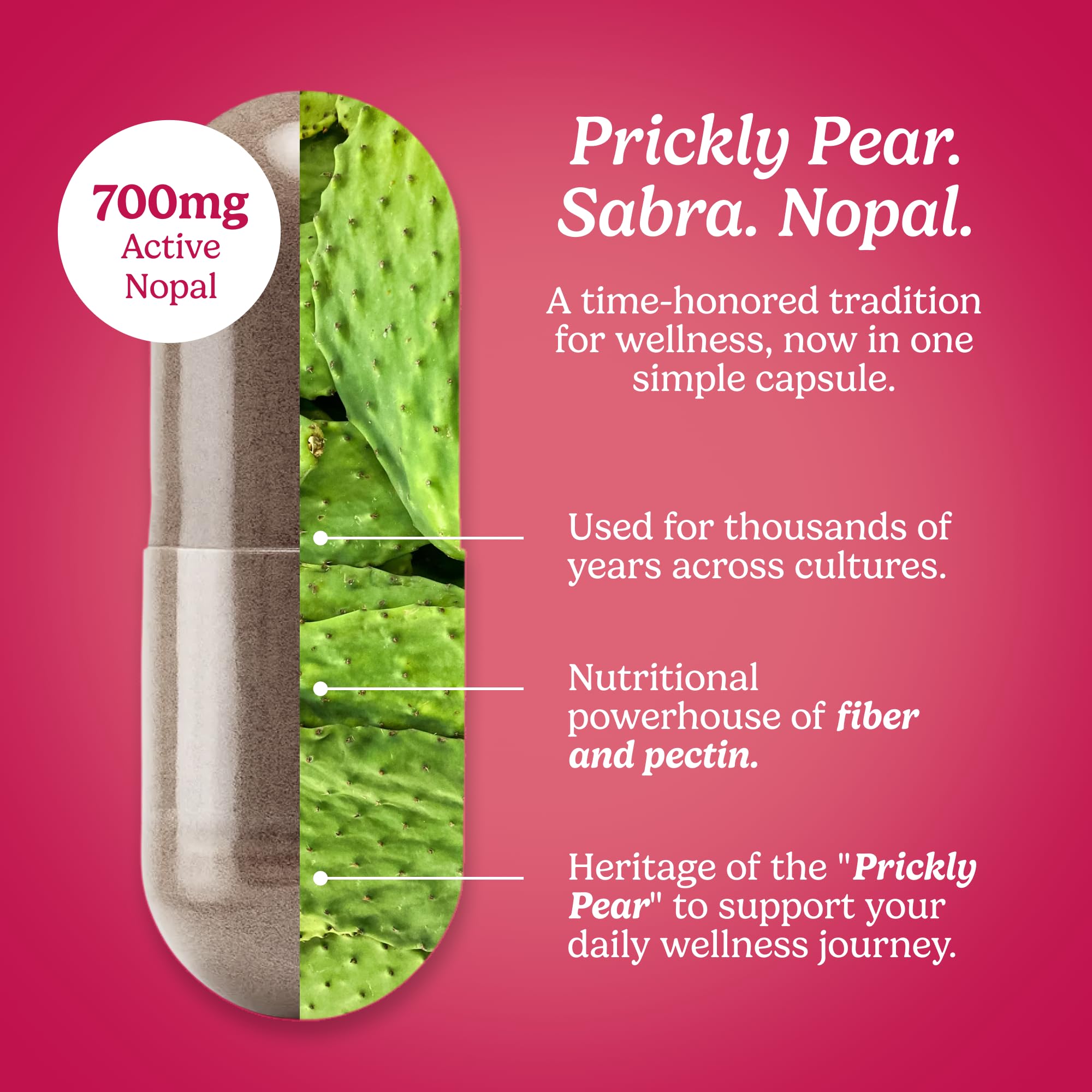 Santo Remedio Nopal Capsules close-up of capsules