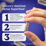 Santo Remedio Super Nopal capsules in hand