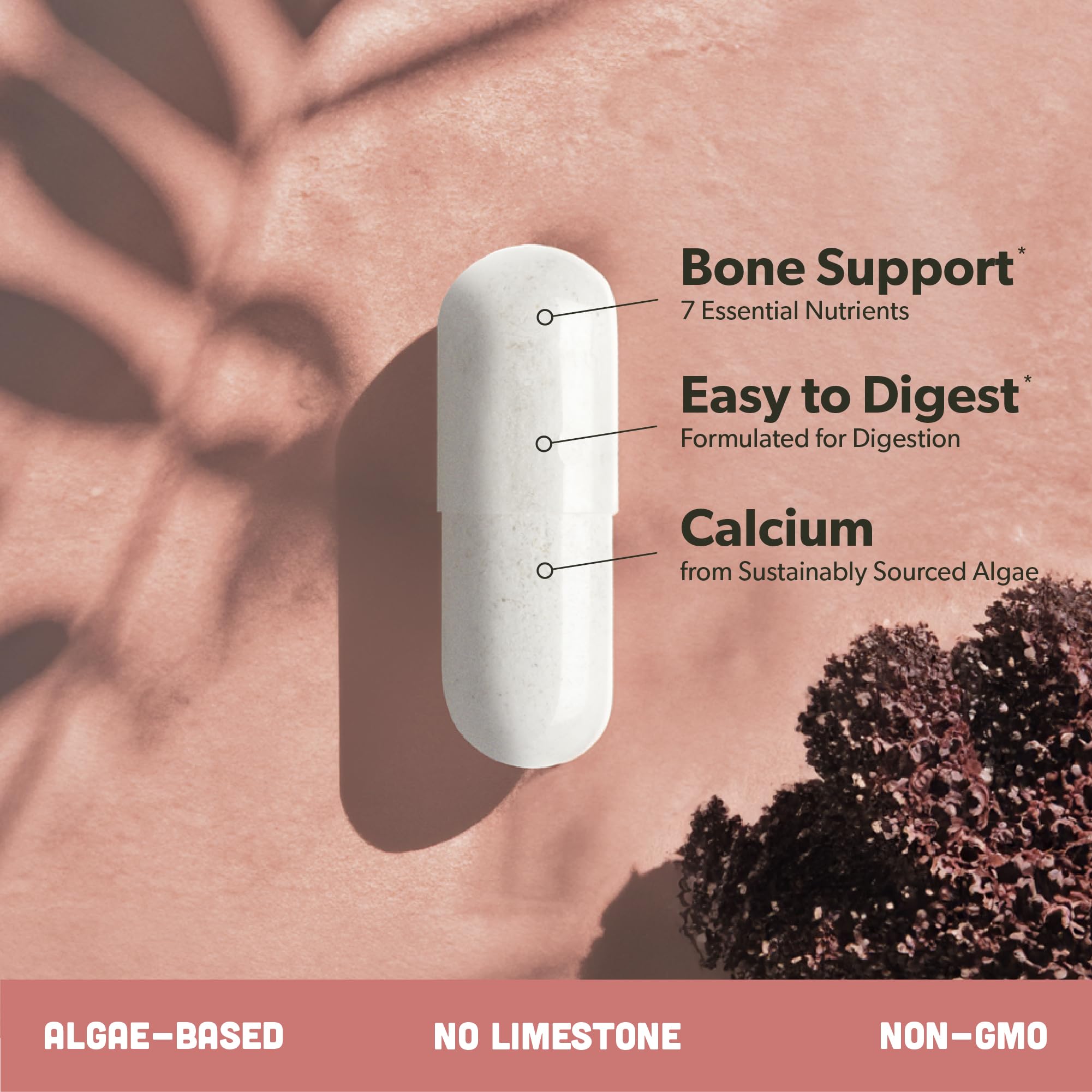 Sapling Vegan Calcium Supplement ingredients list