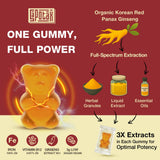 Sapotax Ginseng Gummies individual gummy close-up