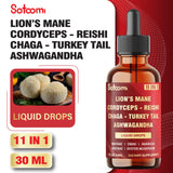 Satoomi 11in1 Mushroom Complex Liquid Supplement 30ml lifestyle scene