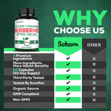 Satoomi Berberine HCl Supplement ingredients list
