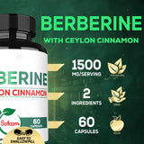 Satoomi Berberine Supplement 1500mg capsules close-up