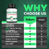 Satoomi Berberine Supplement 1500mg ingredients list