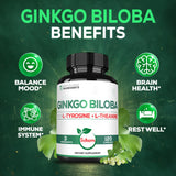 Satoomi Ginkgo Biloba Complex ingredients list on the bottle
