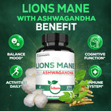 Satoomi Lions Mane Mushroom Complex capsules close-up
