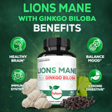 Satoomi Lions Mane Mushroom Complex packaging details