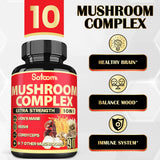 Satoomi Mushroom Supplement capsule close-up