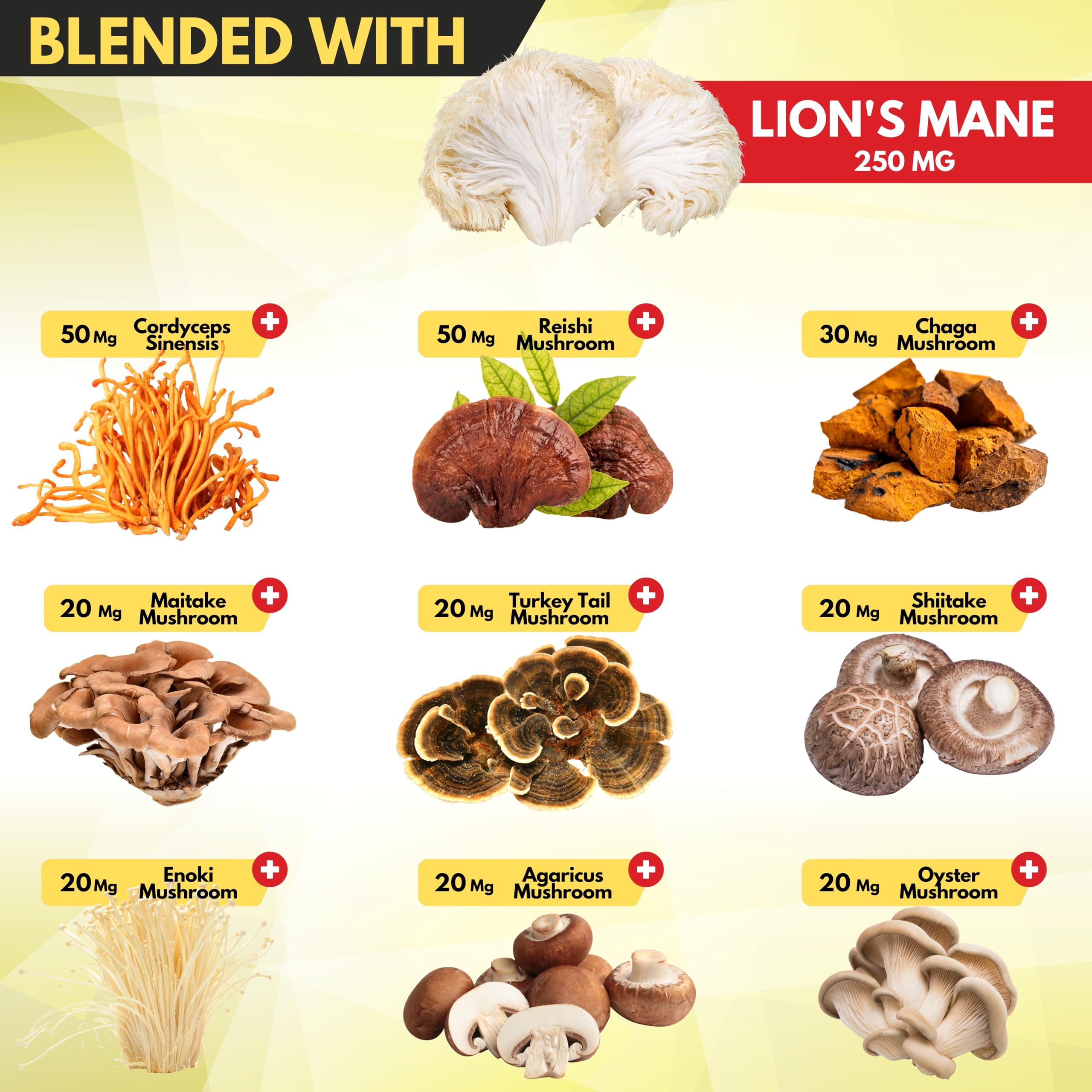 Satoomi Mushroom Supplement label details