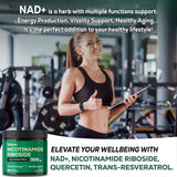 Satoomi NAD Plus Supplement back view of packaging