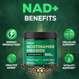 Satoomi NAD Plus Supplement bottle with two capsules