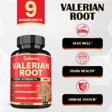Satoomi Valerian Herbal Supplement capsules close-up