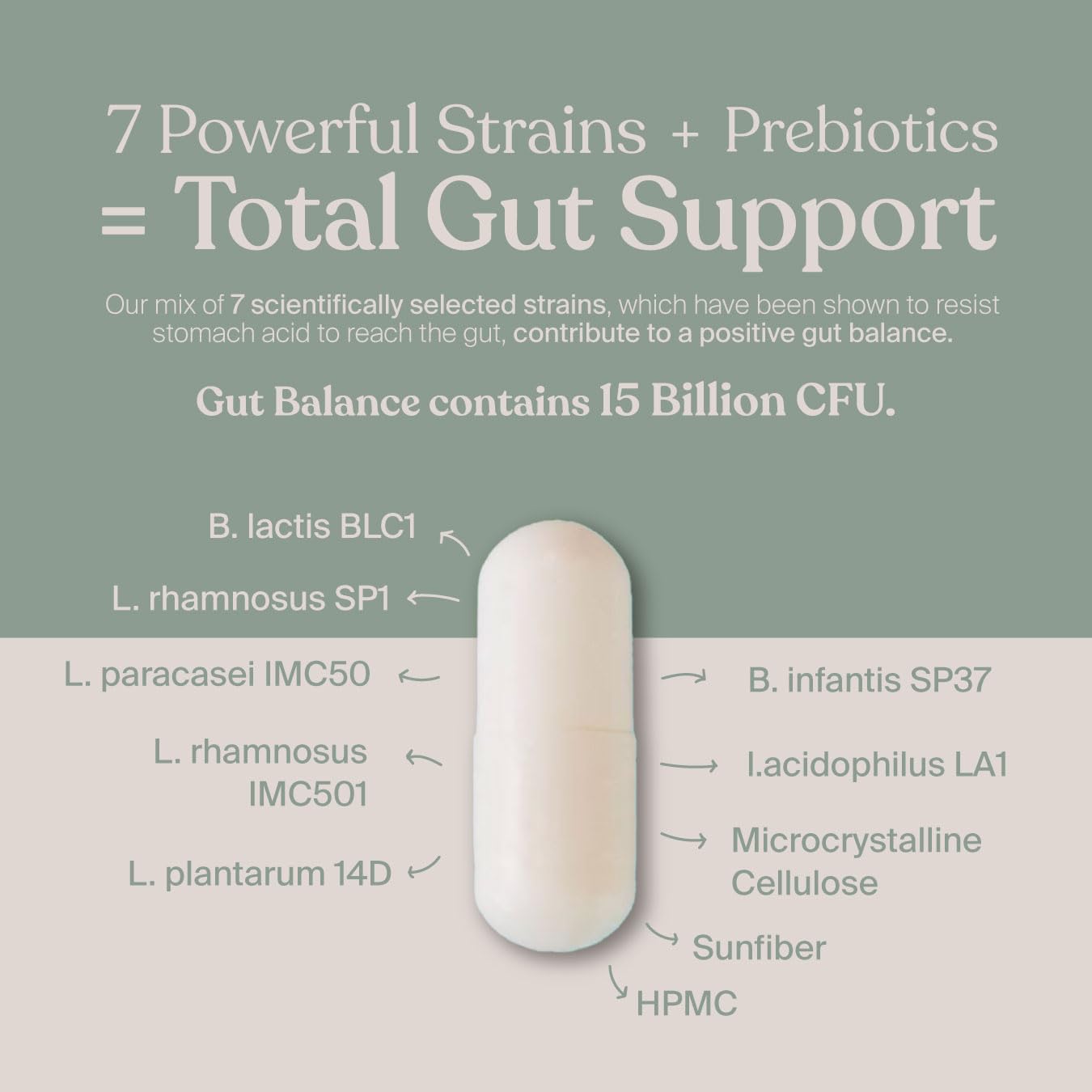 SAVVY Probiotic Acidophilus Capsules lifestyle scene on kitchen counter