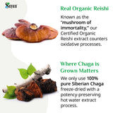 Sayan Chaga and Reishi Mushroom Extract 40g back view
