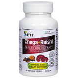 Sayan Chaga and Reishi Mushroom Extract 40g front view