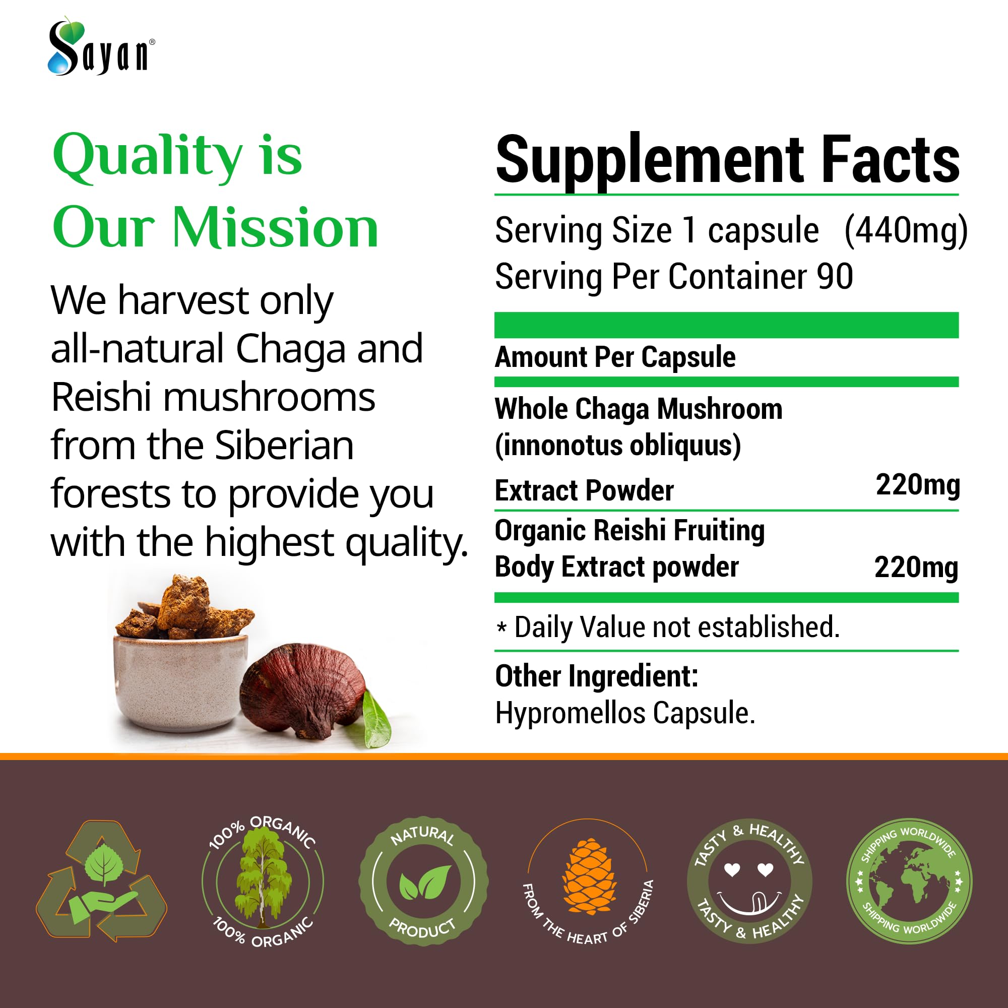 Sayan Chaga and Reishi Mushroom Extract 40g lifestyle scene