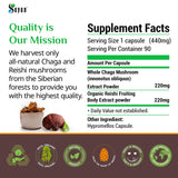 Sayan Chaga and Reishi Mushroom Extract 40g lifestyle scene