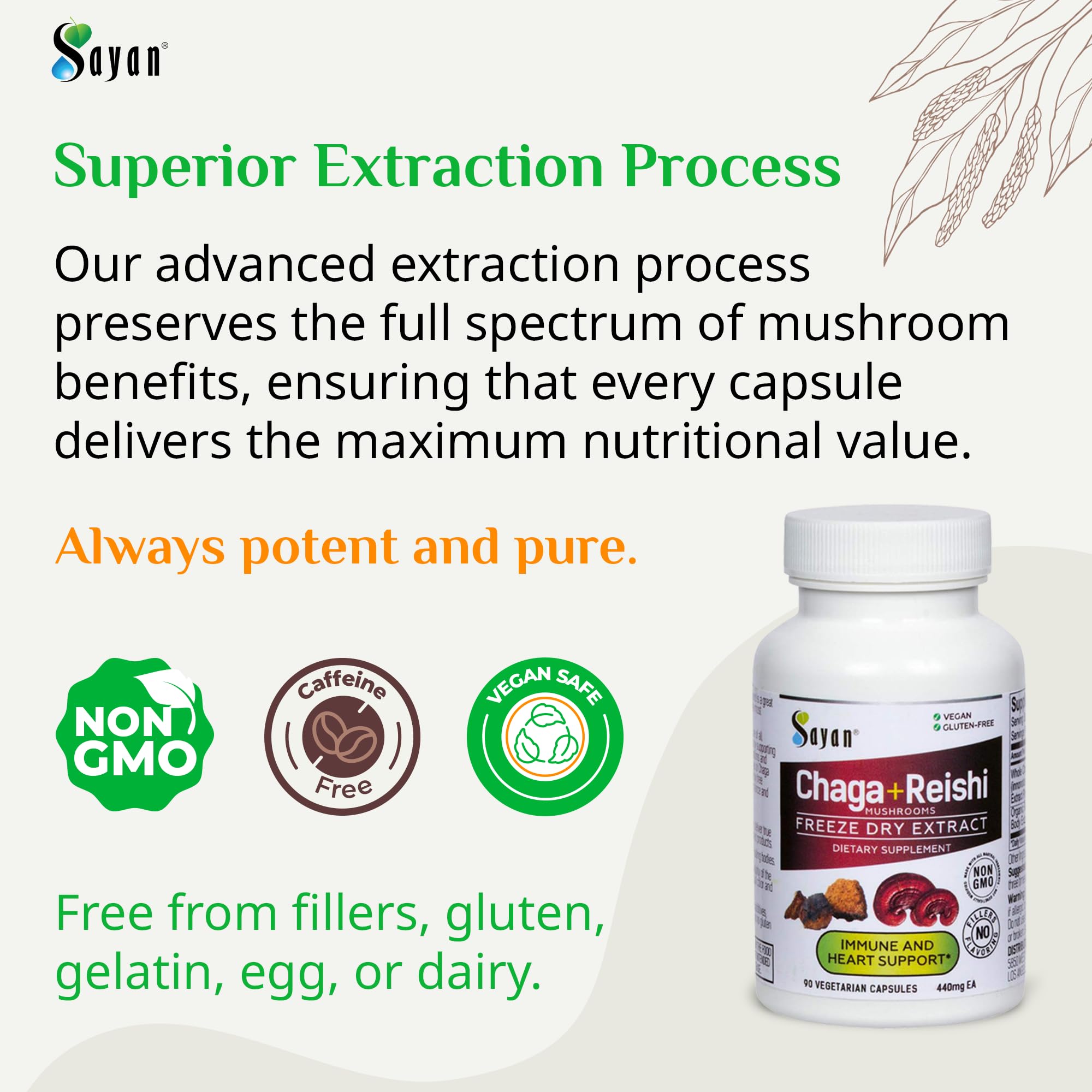 Sayan Chaga and Reishi Mushroom Extract 40g side view