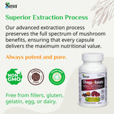 Sayan Chaga and Reishi Mushroom Extract 40g side view