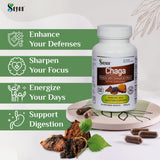 Sayan Chaga Mushroom Capsules lifestyle scene on a kitchen counter