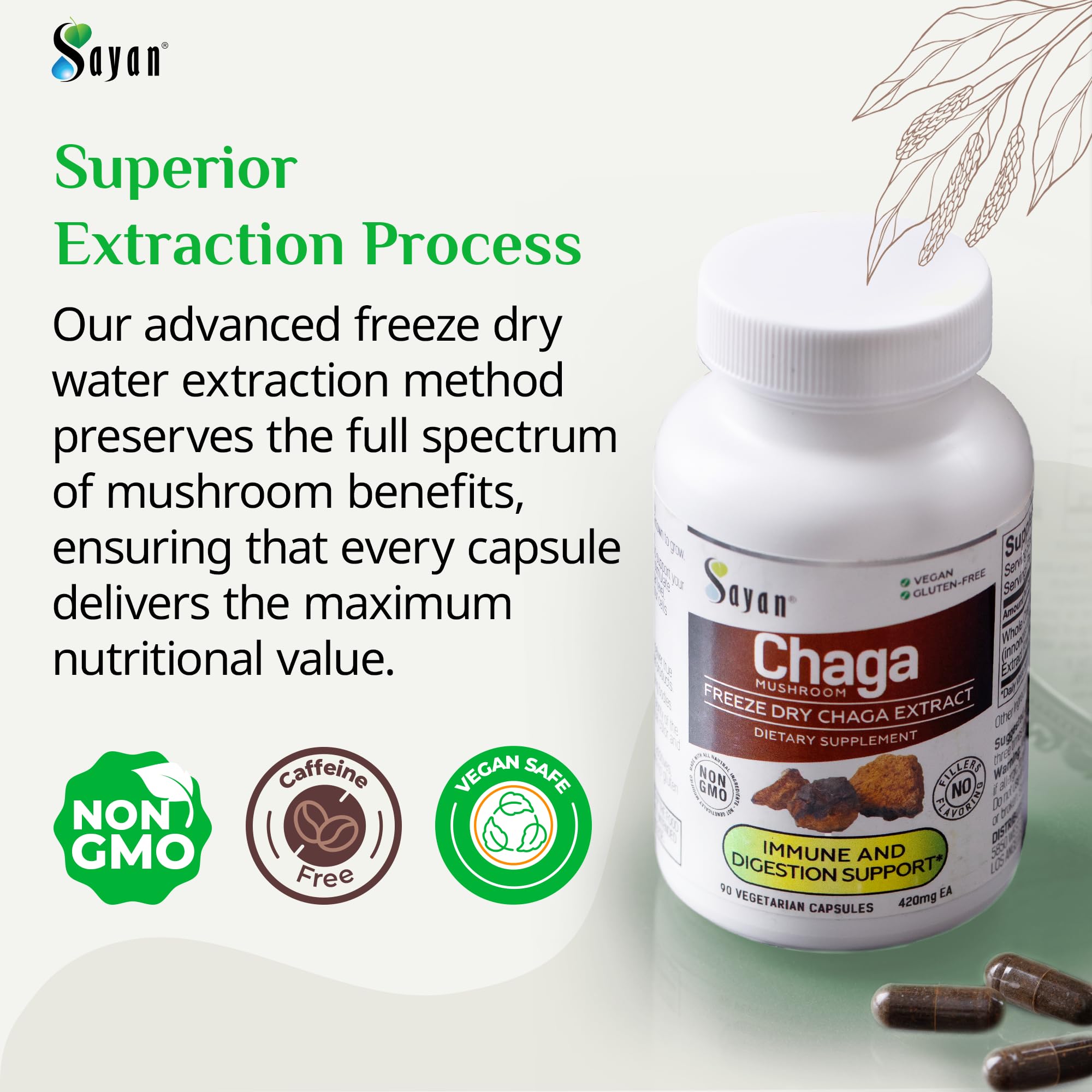 Sayan Chaga Mushroom Capsules opened bottle showing capsules