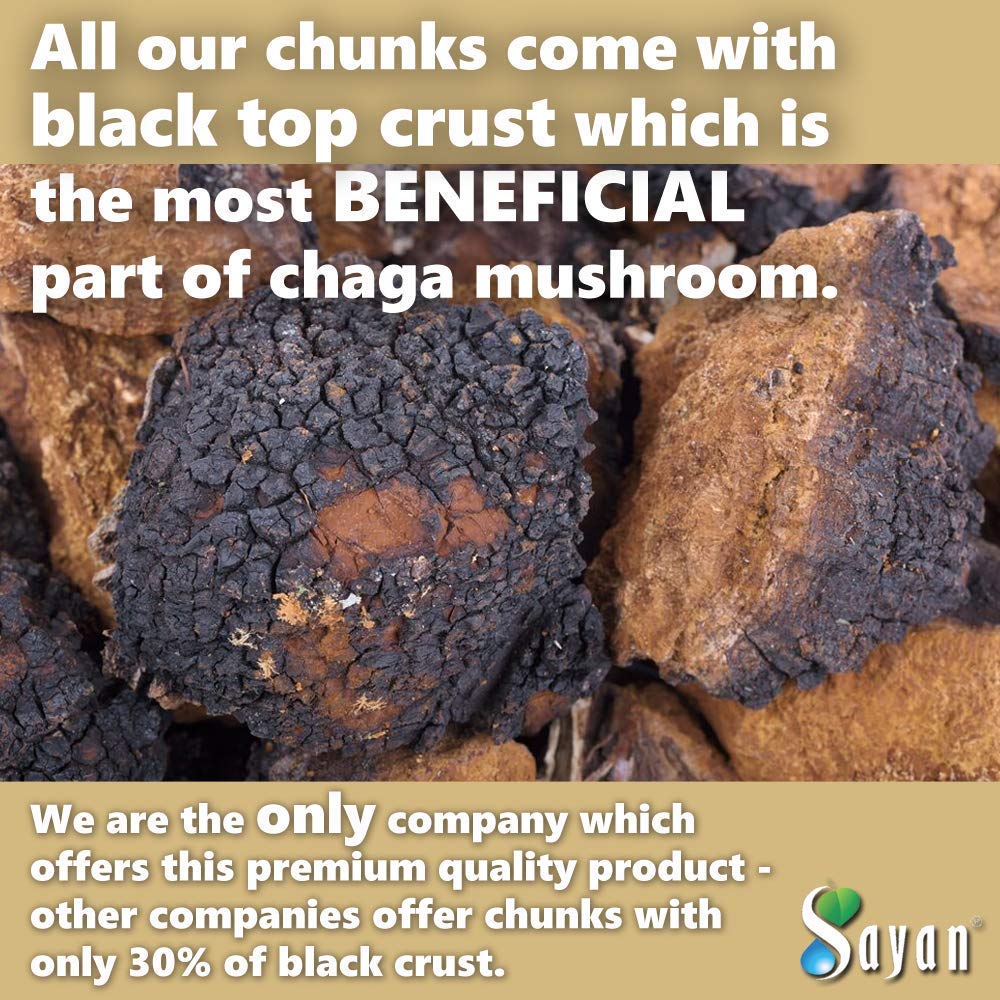 Sayan Chaga Mushroom Chunks 245g close-up of chunks