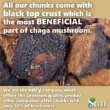 Sayan Chaga Mushroom Chunks 245g close-up of chunks