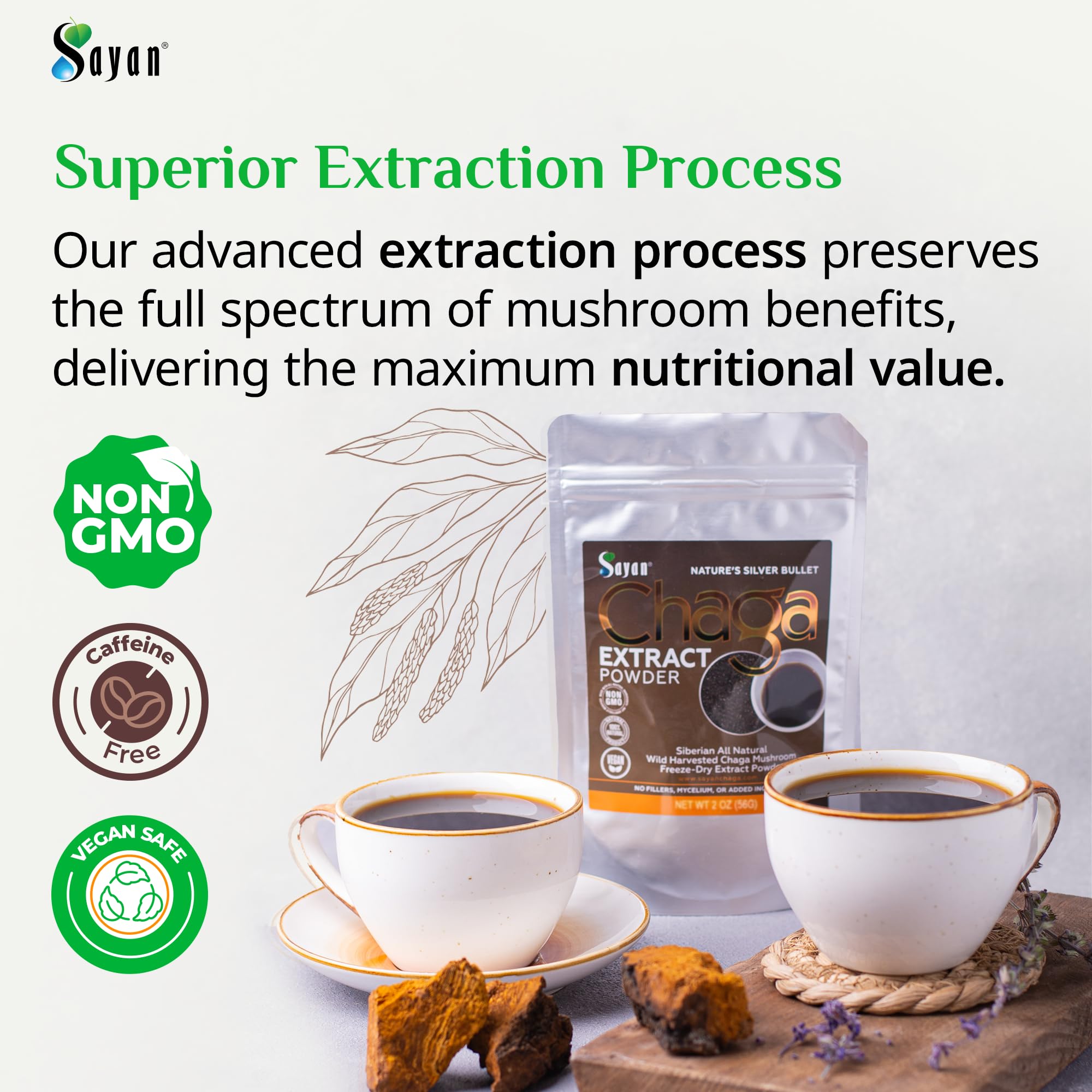 Sayan Chaga Mushroom Extract Powder close-up of powder