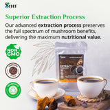 Sayan Chaga Mushroom Extract Powder close-up of powder
