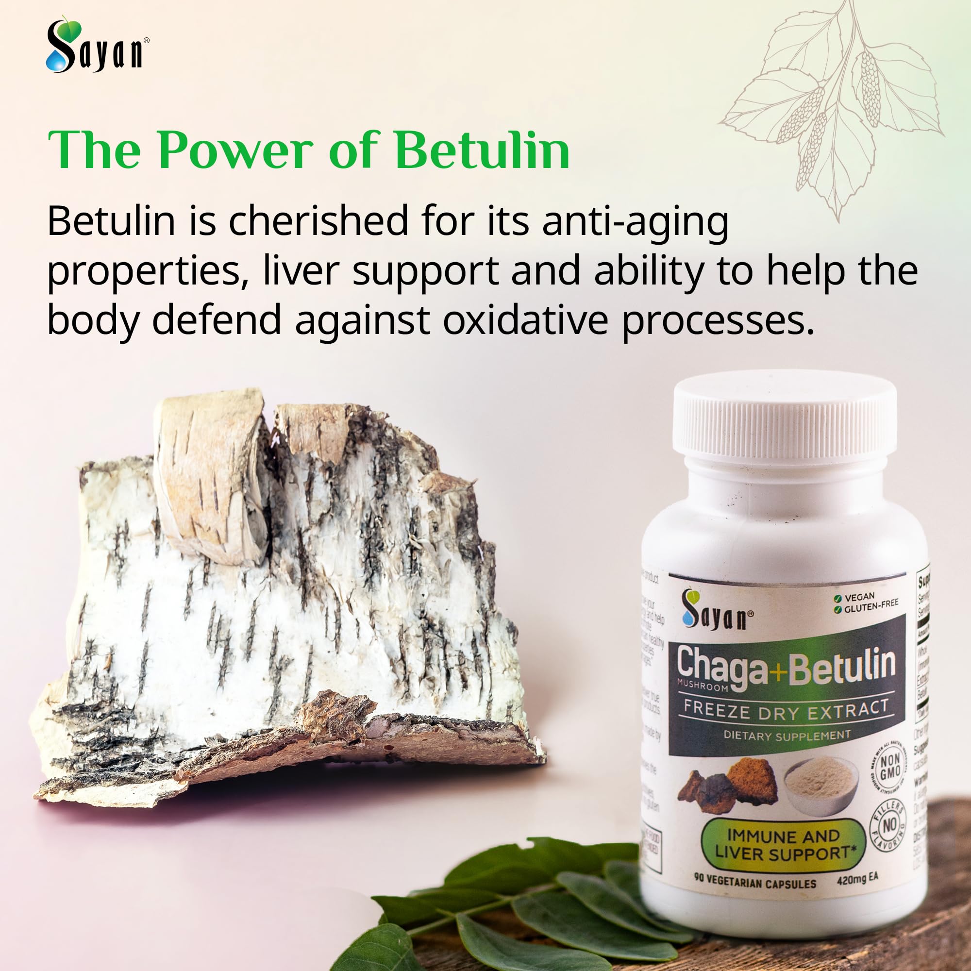 Sayan Chaga Mushroom Supplement ingredients list