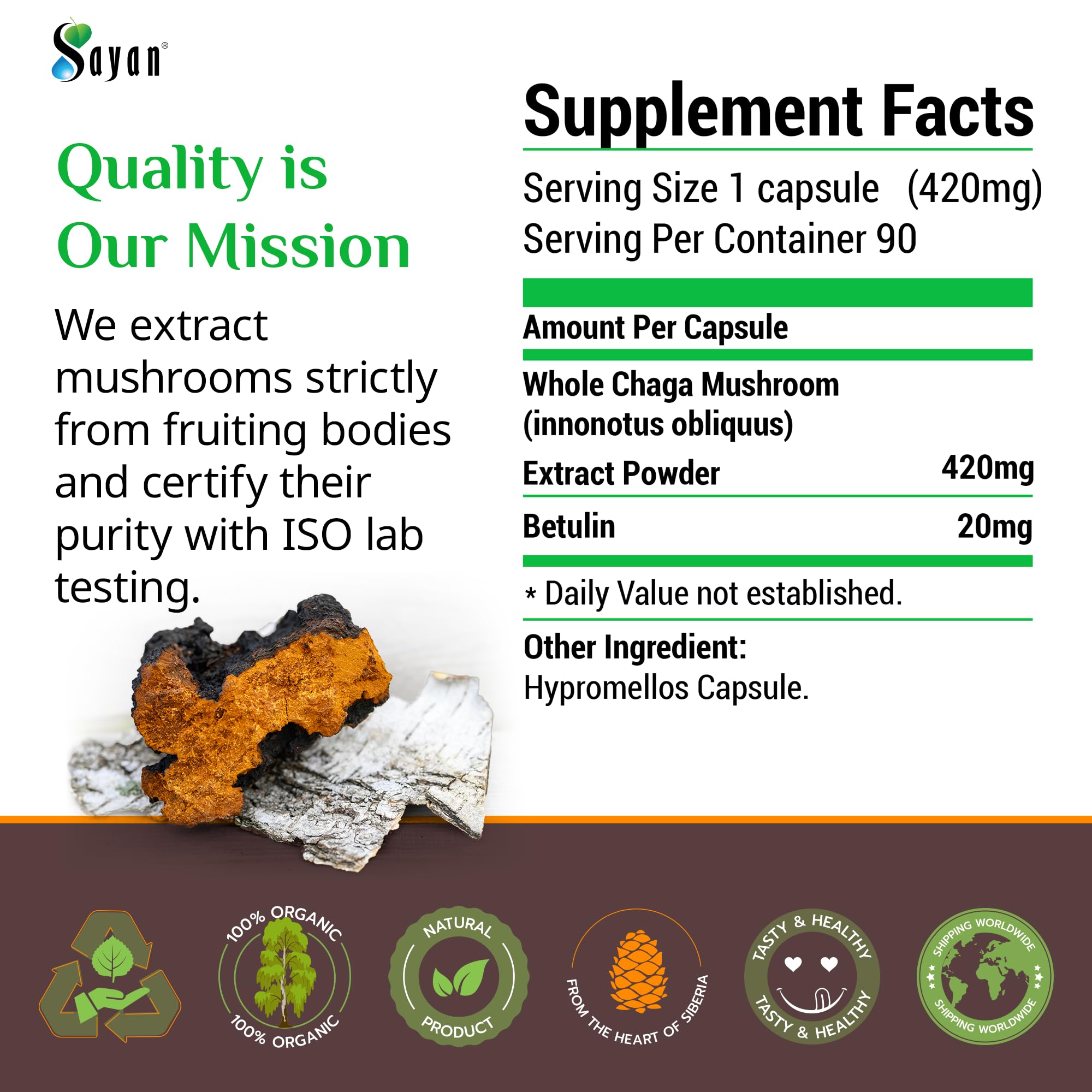 Sayan Chaga Mushroom Supplement showing capsule size