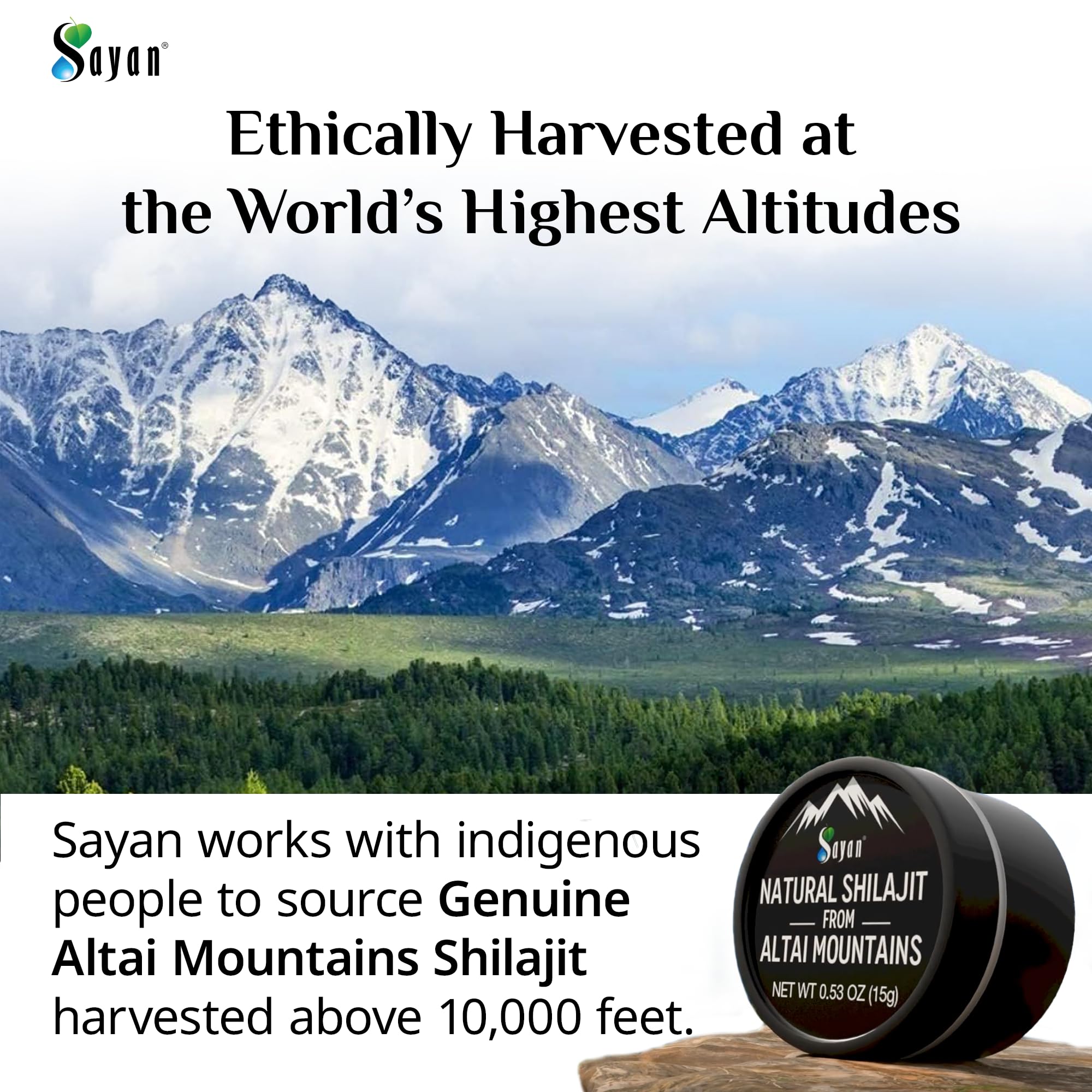 Sayan Shilajit Resin 73g back view showing ingredients