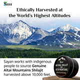 Sayan Shilajit Resin 73g back view showing ingredients
