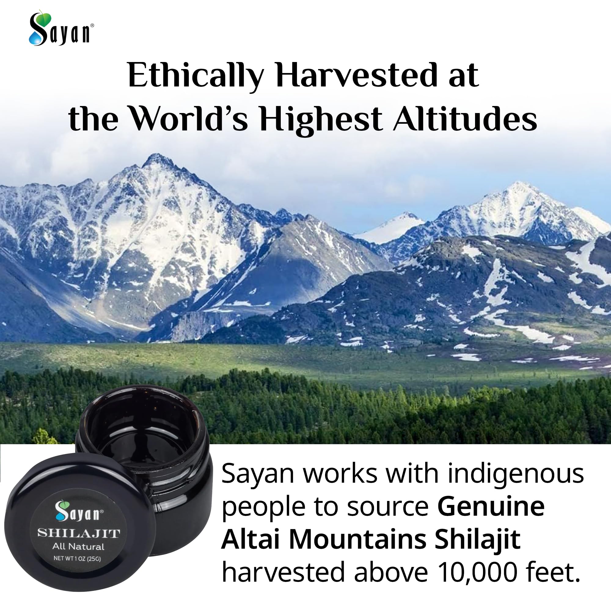 Sayan Shilajit Resin close-up of resin