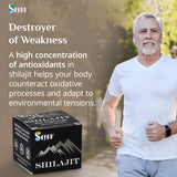 Sayan Shilajit Resin with ingredients list