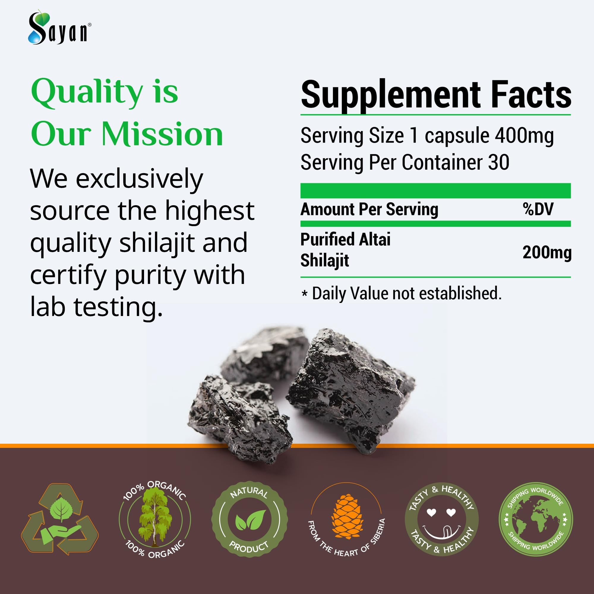 Sayan Shilajit Tablets back view with ingredient list