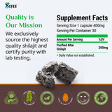 Sayan Shilajit Tablets back view with ingredient list