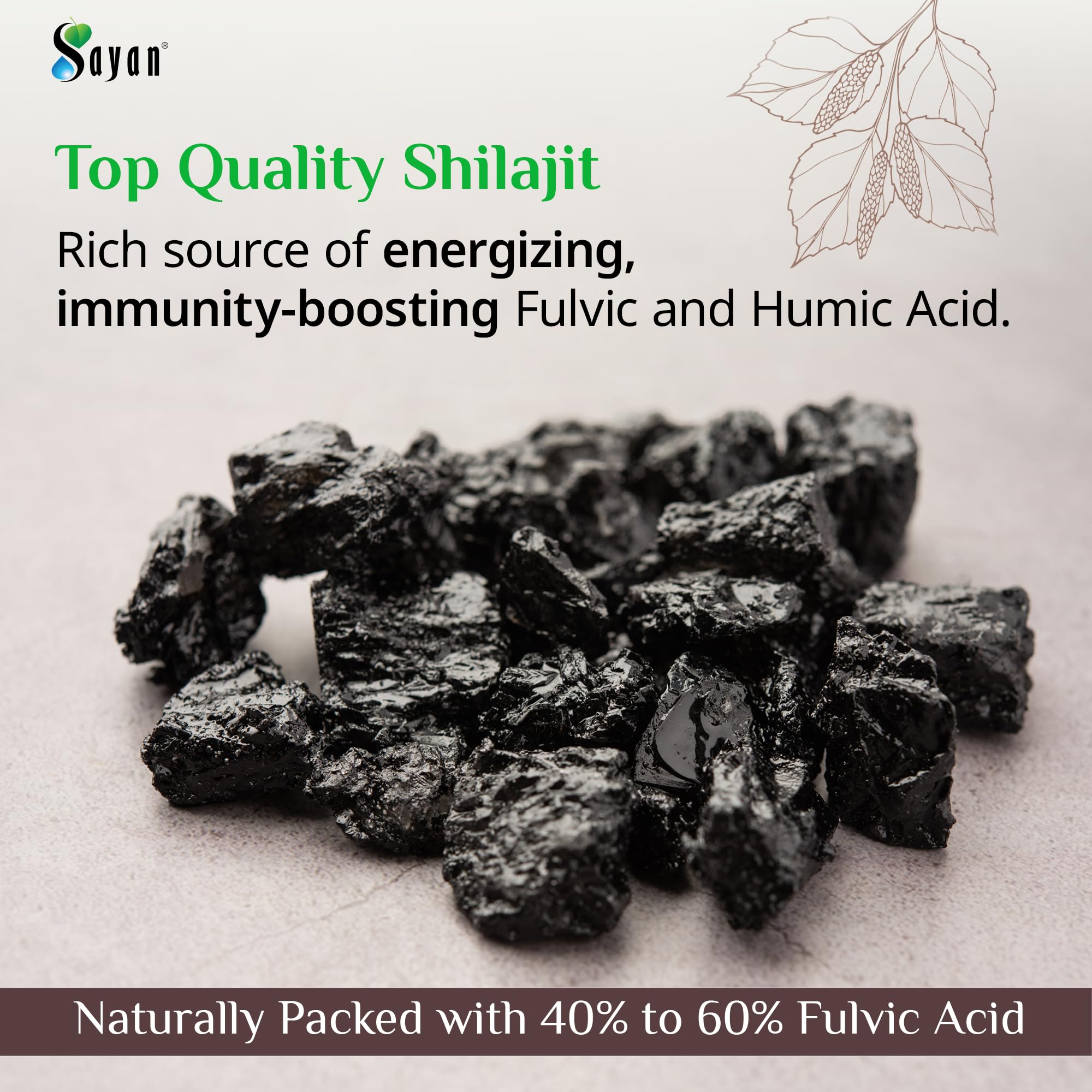 Sayan Shilajit Tablets in hand for size comparison