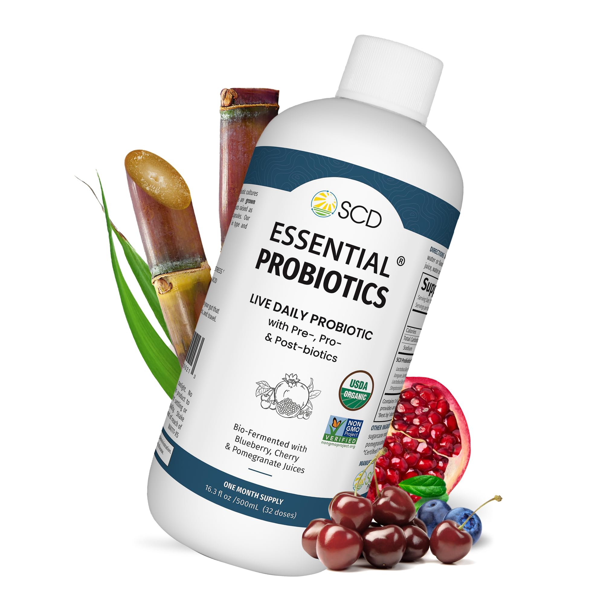 SCD Probiotics Probiotic Supplement 522g front view