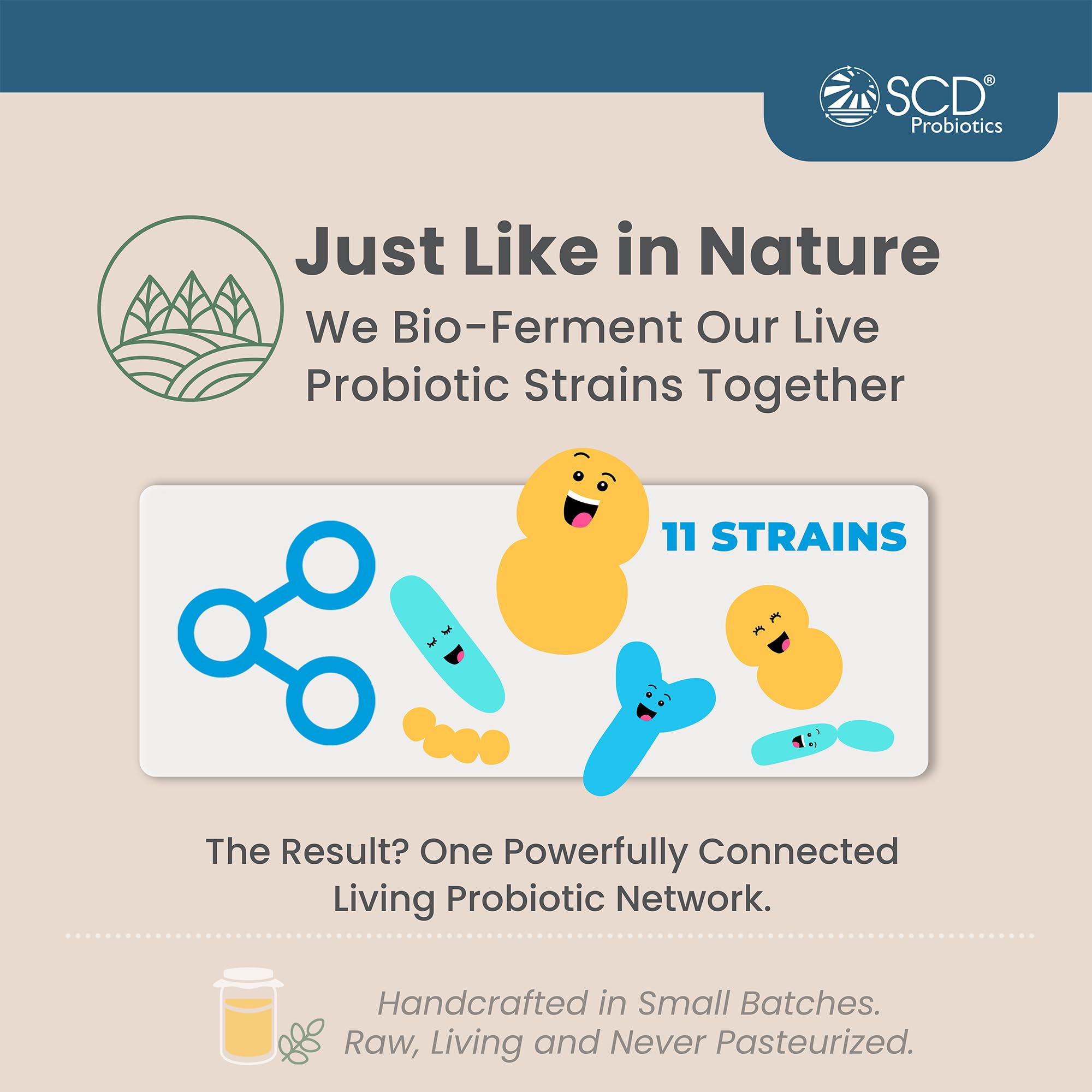 SCD Probiotics Probiotic Supplement on a kitchen counter