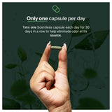 Scentless Full-Body Deodorant Capsules with chlorophyll, parsley, and mint
