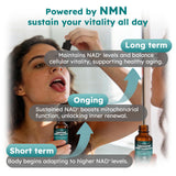 Scibalia Liposomal NMN Beta 1000mg Supplement Liquid Drops with measuring dropper