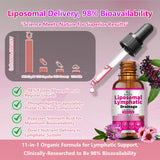 Scibalia Lymphatic Support Liquid Drops 30ml lifestyle shot