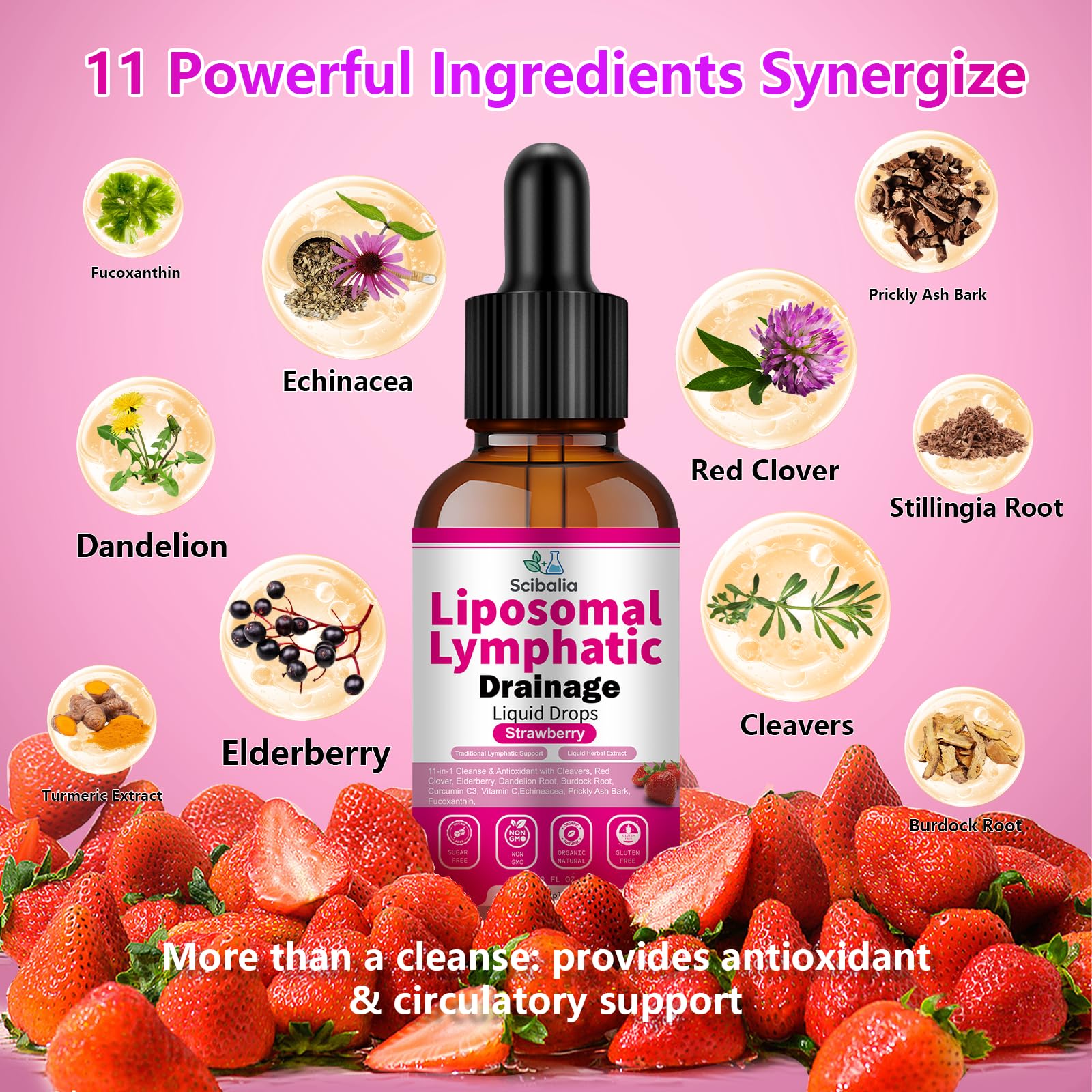Scibalia Lymphatic Support Liquid Drops 30ml on a wooden table