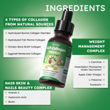 Scibalia Multi Collagen Complex bottle with dosage information