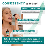 Scibalia NMN Supplement 1000mg liquid drops close-up