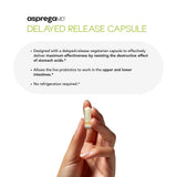 Scimera Bioscience Probiotic Supplement capsule close-up