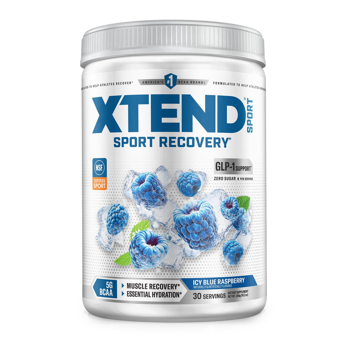 Scivation XTEND BCAA Powder 346g Blue Raspberry Ice front view