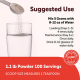 Scoop included with Micro Ingredients Creatine Monohydrate Powder
