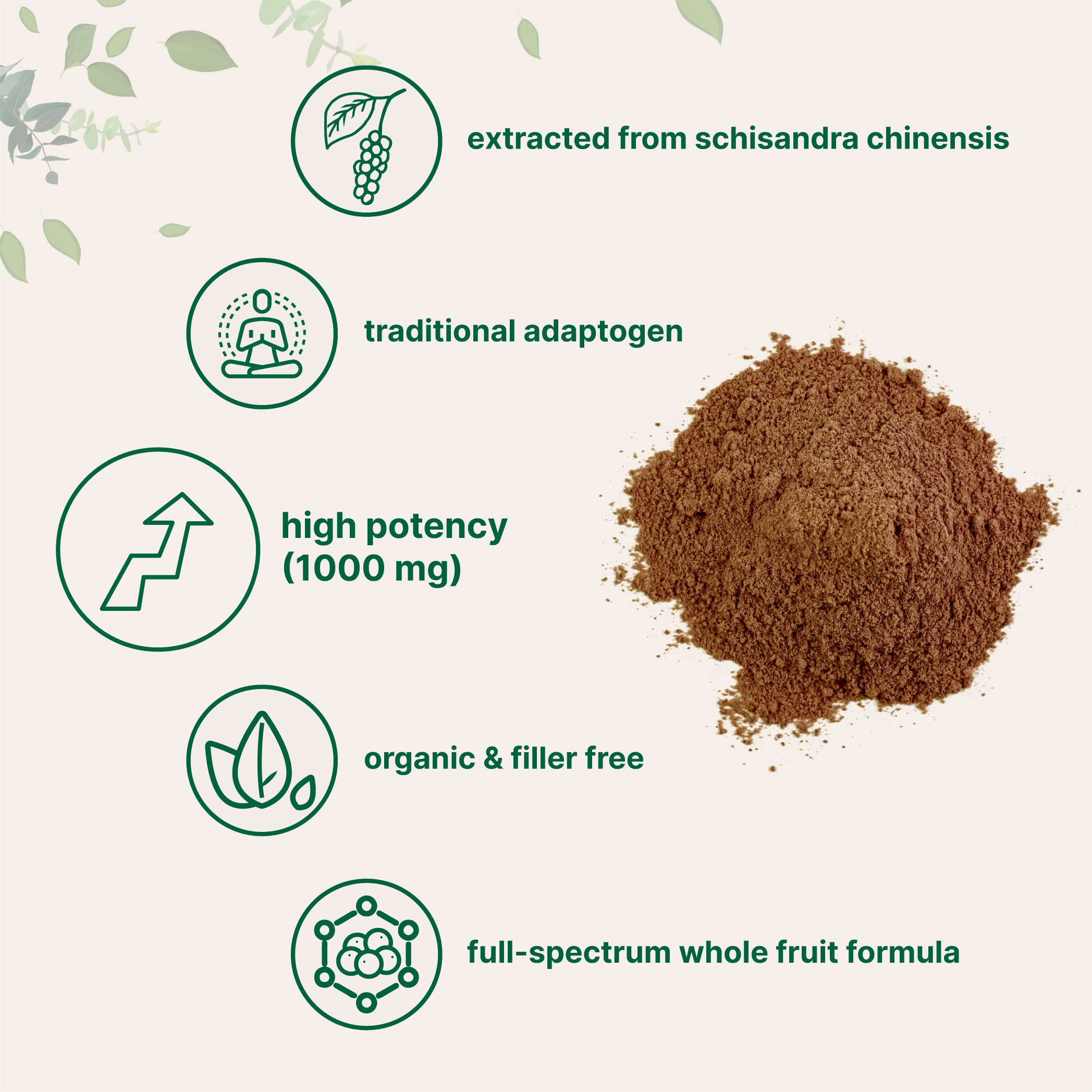 Scoop included with Micro Ingredients Organic Schisandra Berry Powder